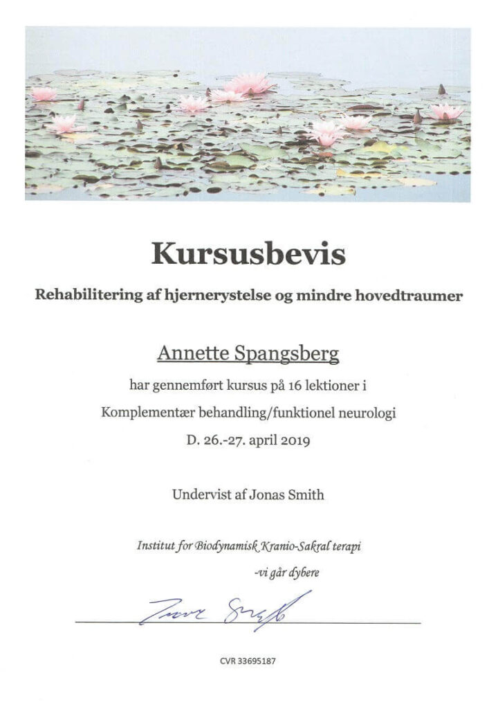 Hjernerystelse behandling - øvelser kombineres med biodynamisk kranio-sakral terapi