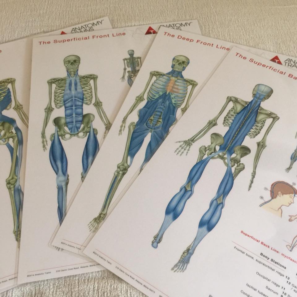 Bindevæv i ryggen kan gøre ondt