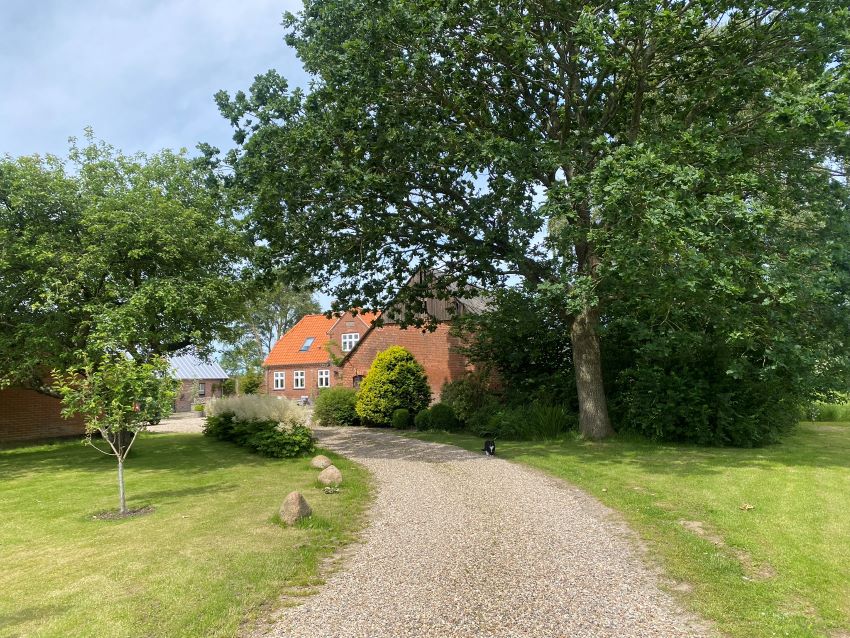 Her kører du ind til Spangsberg Terapi - kør lige frem