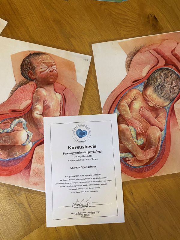 kursusbevis i perinatal psykologi - fra undfangelse til fødsel