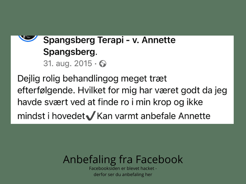 ro i hovedet efter biodynamisk kranio-sakral terapi